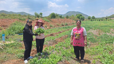 สหกรณ์จังหวัดกาญจนบุรีลงพื้นที่อำเภอเลาขวัญ พารามิเตอร์รูปภาพ 1