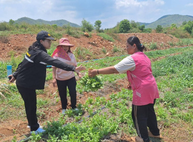 สหกรณ์จังหวัดกาญจนบุรีลงพื้นที่อำเภอเลาขวัญ พารามิเตอร์รูปภาพ 5