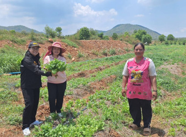 สหกรณ์จังหวัดกาญจนบุรีลงพื้นที่อำเภอเลาขวัญ พารามิเตอร์รูปภาพ 1